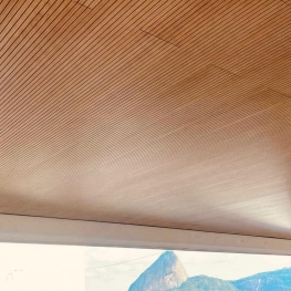 PAINEL Nexacustic 16