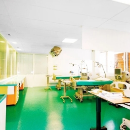 FORRO Mineral Hygiene Meditec A