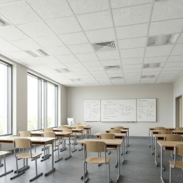 FORRO Mineral Mineralis A