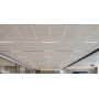 Forro de Gesso Gyptone Big Quattro 41